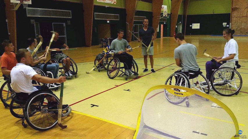 section_hockey_fauteuil_dijon_2014